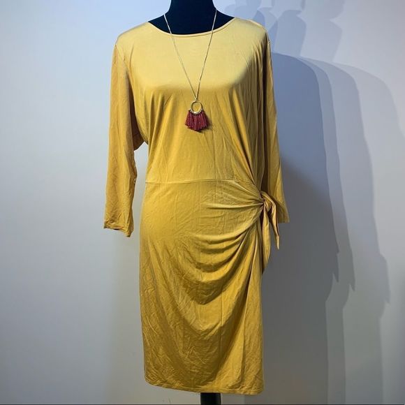 Anthropologie Tie Waist Dress  - Picture 3 of 5